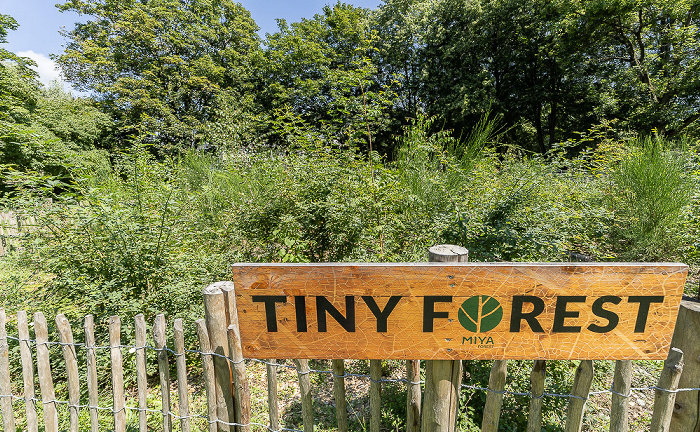 Spittelmarkt: Gertraudenhain (Tiny Forrest) Berlin