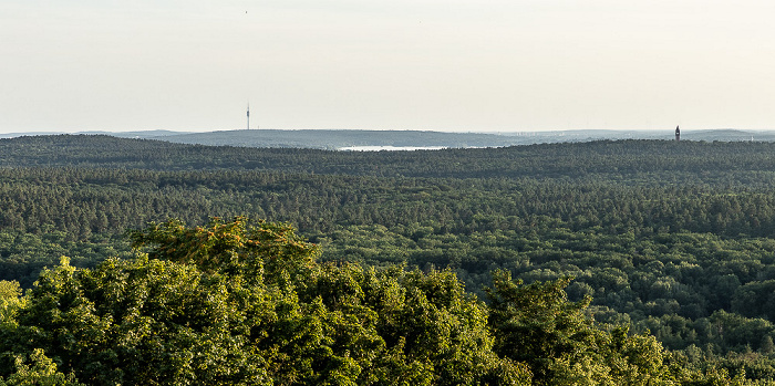 Blick von der Field Station Berlin (Teufelsberg): Grunewald Berlin