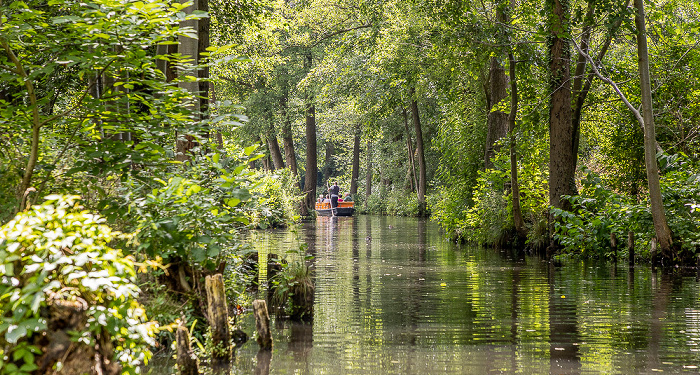 Spree Spreewald