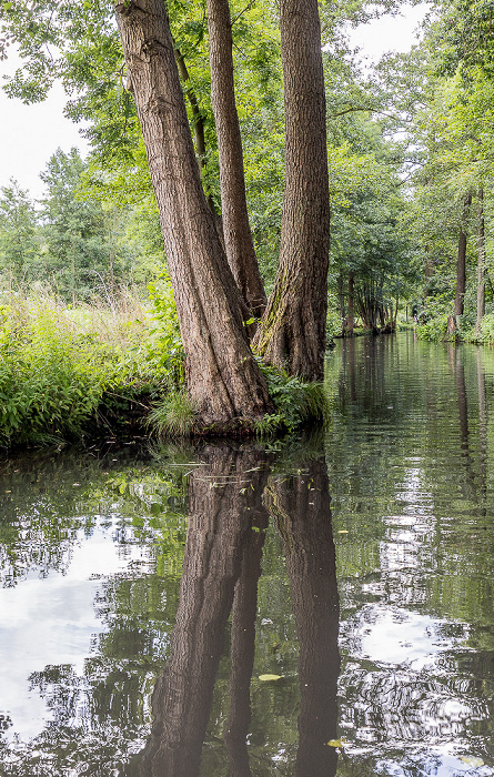 Spree Spreewald