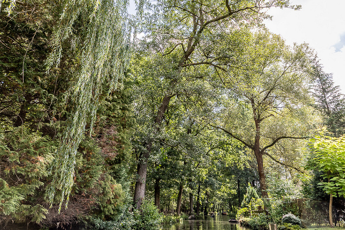 Spree Spreewald
