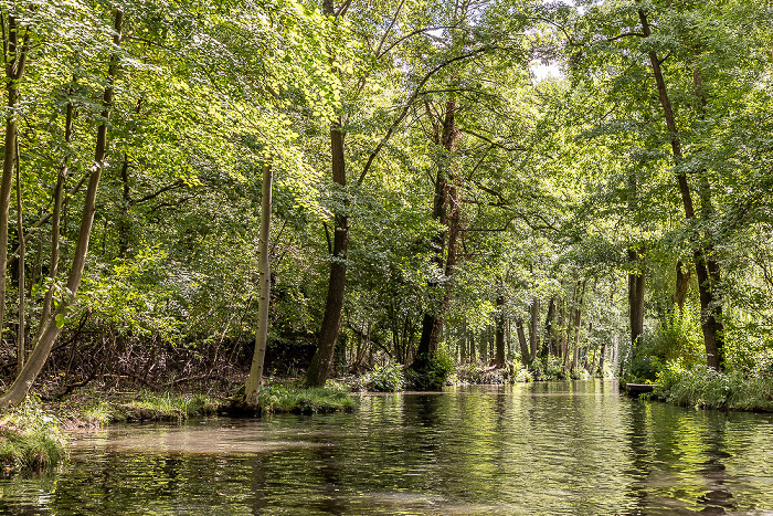 Spree Spreewald