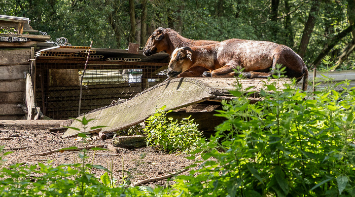 Spree Spreewald