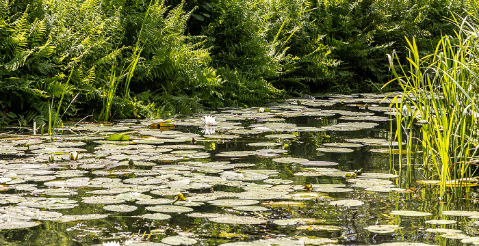 Spree Spreewald