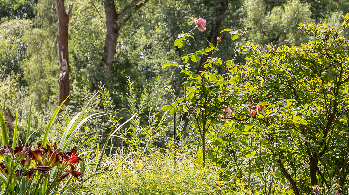Spree Spreewald