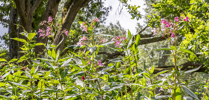 Spree Spreewald