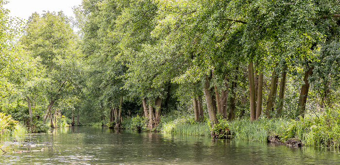 Giglitza Spreewald