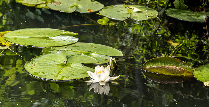 Giglitza, Lehde Spreewald