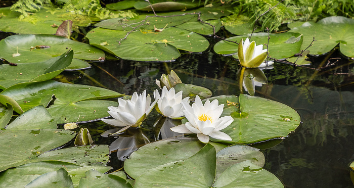 Suez-Kanal Spreewald