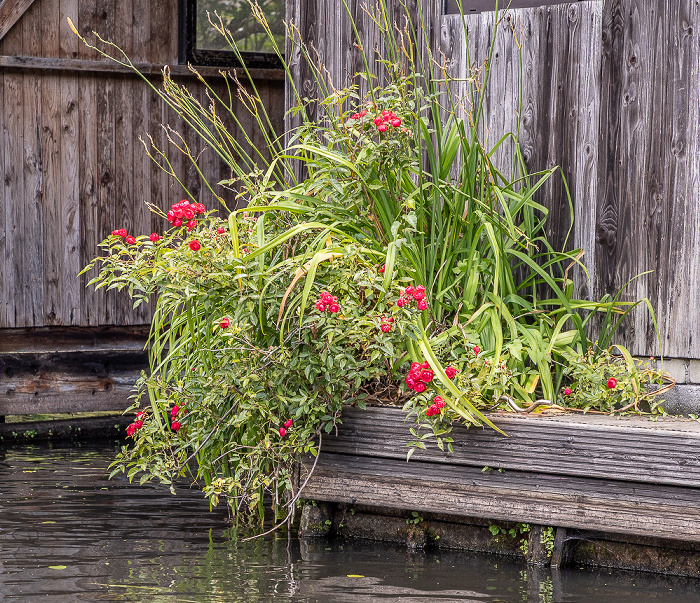 Lehder Graben, Lehde Spreewald
