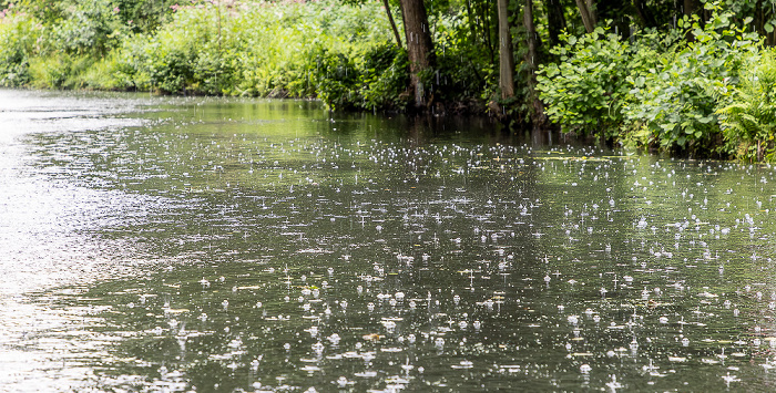 Spree Spreewald