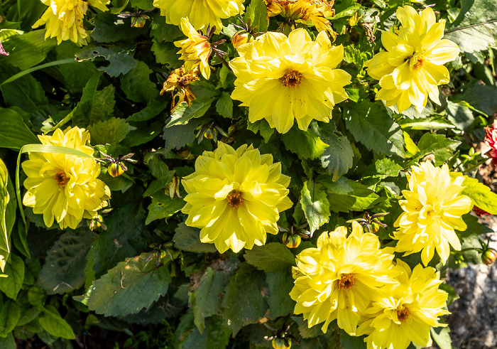 SonnenAlm Winklmoosalm