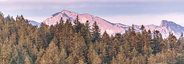 Reiter Alm mit Großer Weitschartenkopf (1979 m) Winklmoosalm