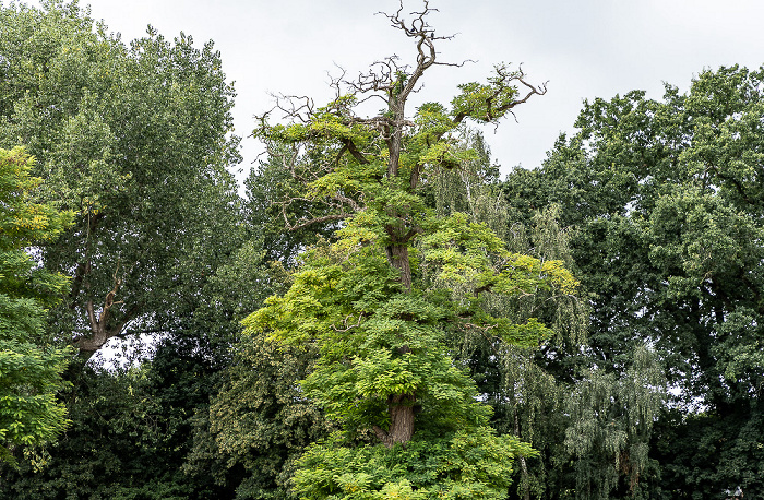 EmsAuenQuartier Rheine