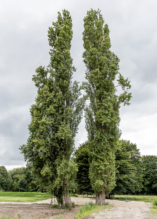 EmsAuenQuartier Rheine
