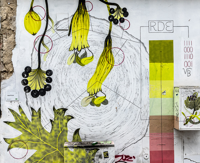 Seminarstraße: Street Art Osnabrück