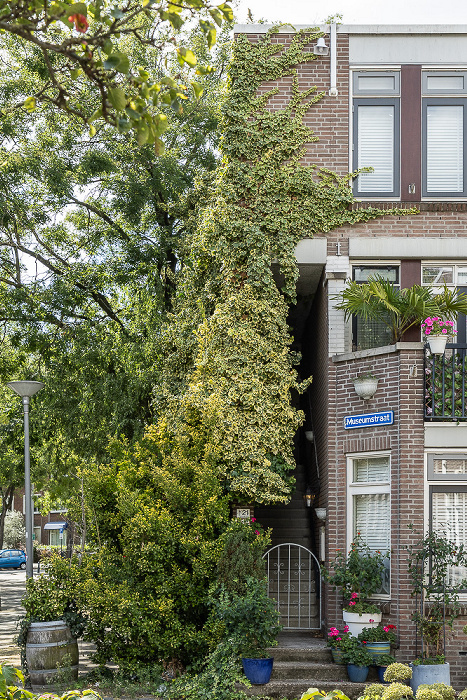 Rotterdam