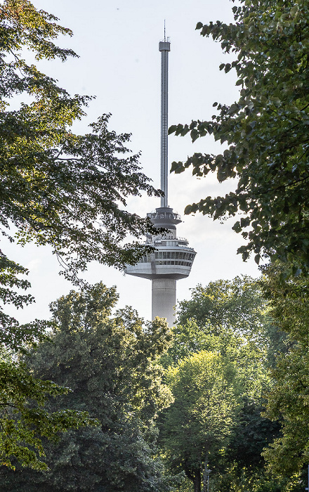 Rotterdam