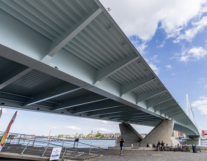 Rotterdam