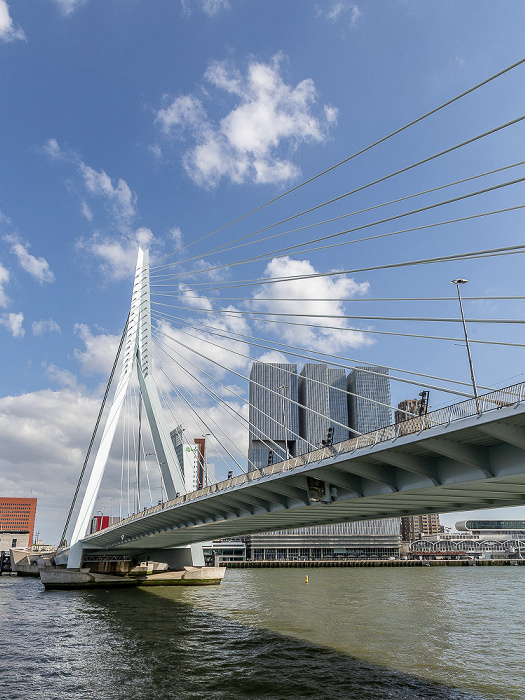 Rotterdam