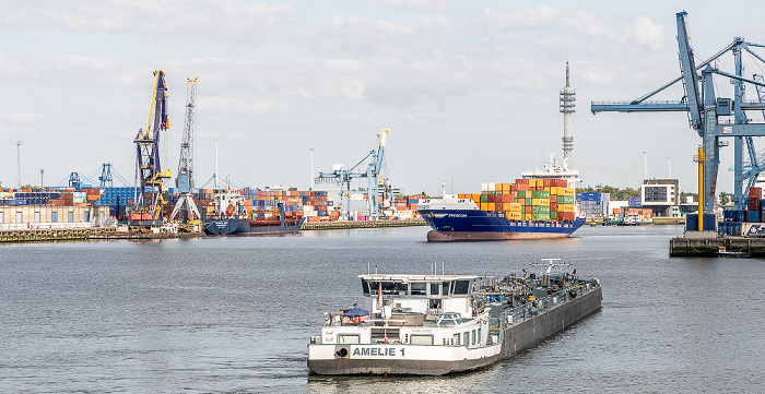Rotterdam