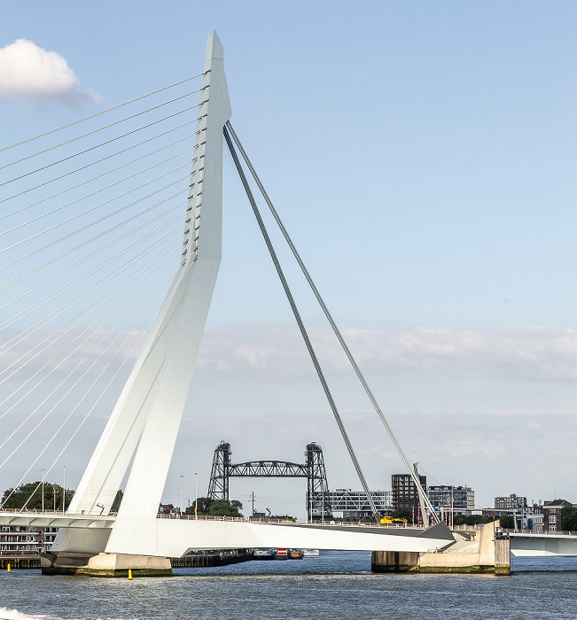 Rotterdam