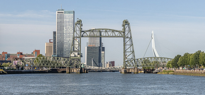 Nieuwe Maas Rotterdam