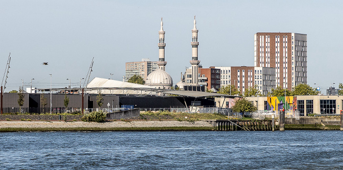 Nieuwe Maas Rotterdam