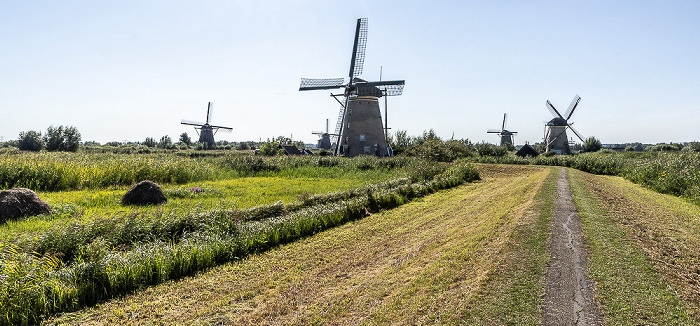 Windmühlen Kinderdijk
