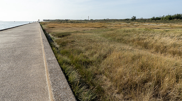 Nieuwe Waterweg, Noorderhoofd, Dünen Hoek van Holland