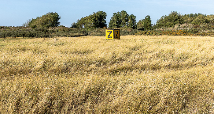 Dünen Hoek van Holland