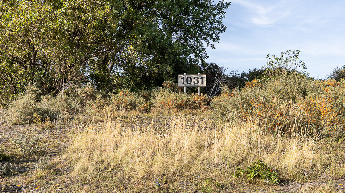 Dünen, Kilometer 1031 (gemäß der Rheinkilometrierung mit Kilometer 0 in Konstanz) Hoek van Holland