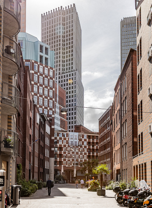 Den Haag