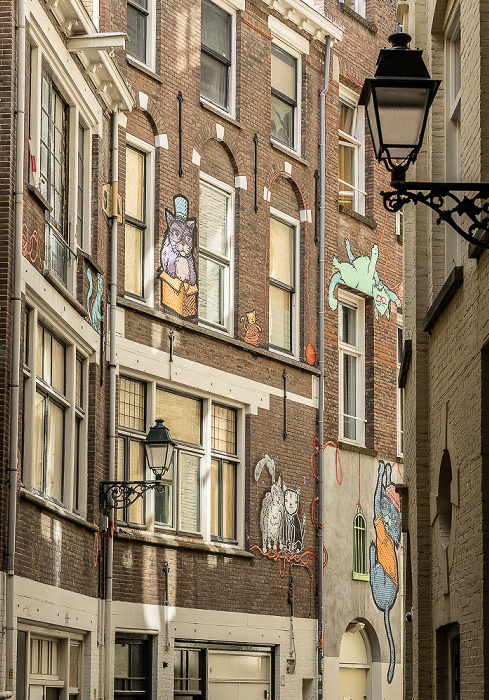 Achterom: Street Art Kattensteeg Den Haag