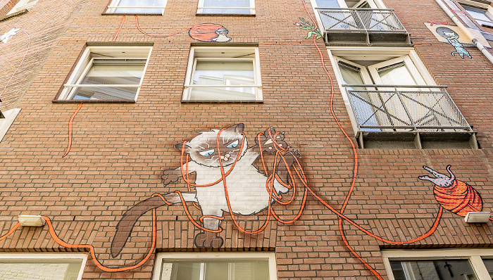 Achterom: Street Art Kattensteeg Den Haag