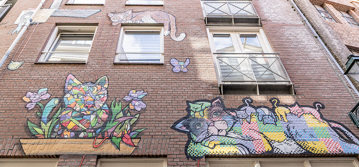 Achterom: Street Art Kattensteeg Den Haag