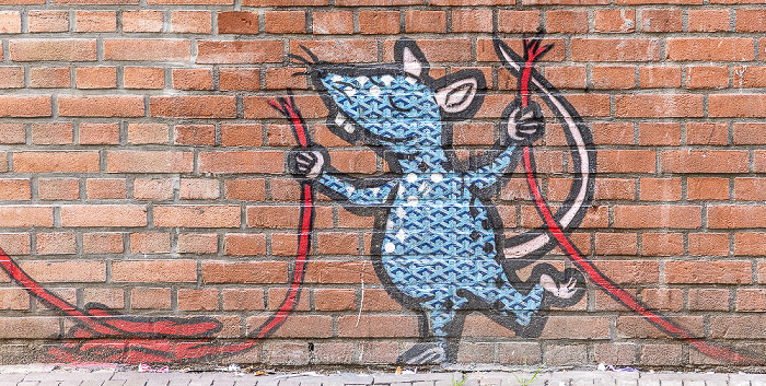 Achterom: Street Art Kattensteeg Den Haag