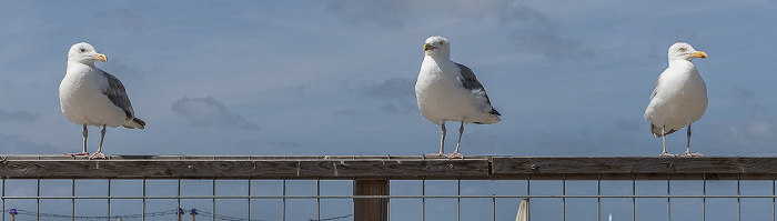 Scheveningen