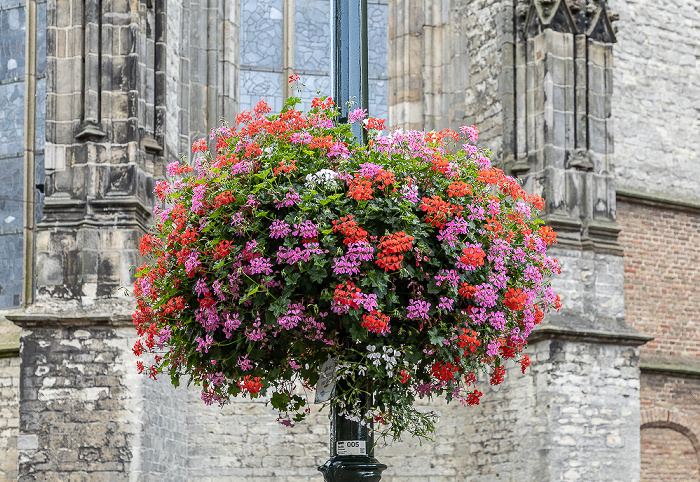 Delft