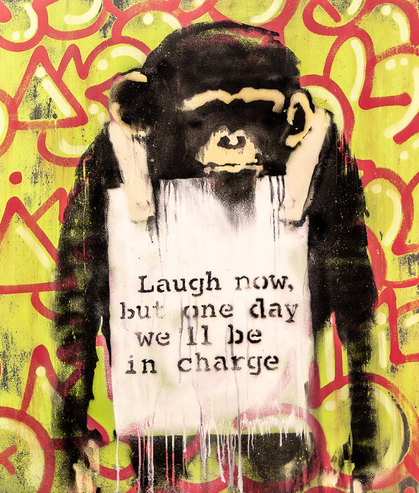 Moco Museum: Laugh now (von Banksy) Amsterdam