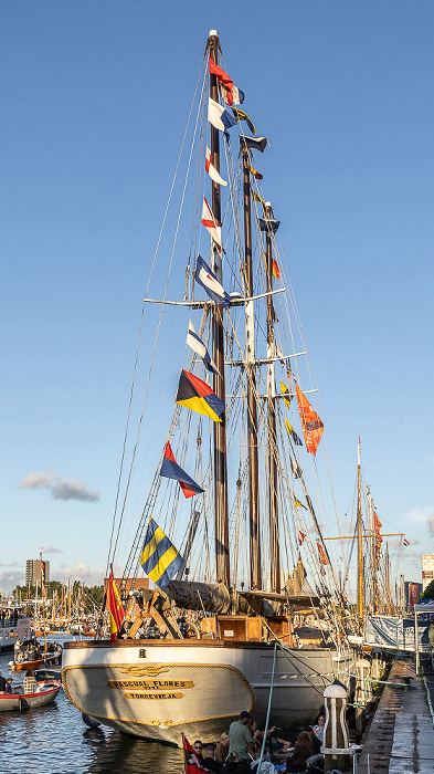 IJ (SAIL Amsterdam 2025) Amsterdam