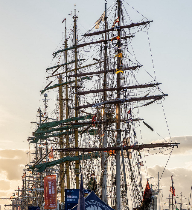 IJ (SAIL Amsterdam 2025) Amsterdam