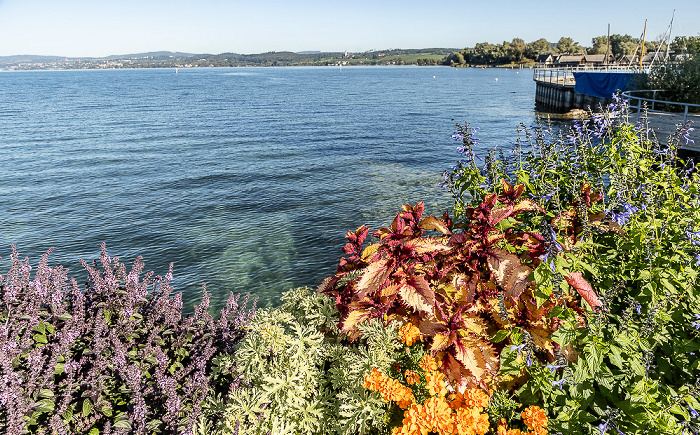 Unteruhldingen Uhldingen-Mühlhofen