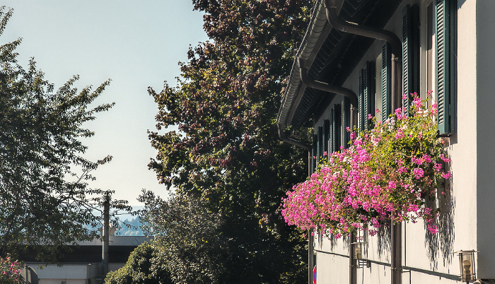 Unteruhldingen Uhldingen-Mühlhofen