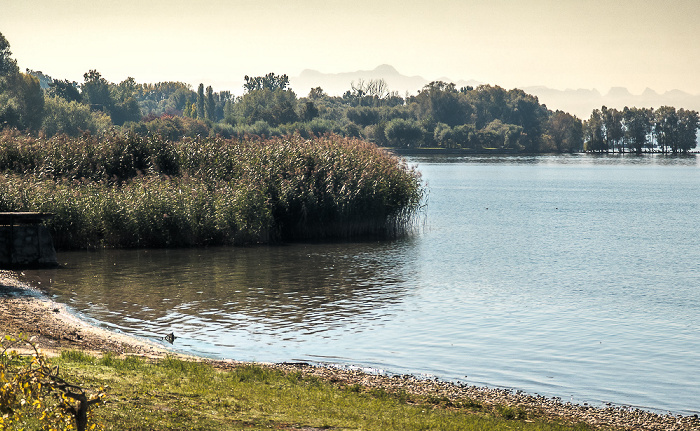 Unteruhldingen Uhldingen-Mühlhofen