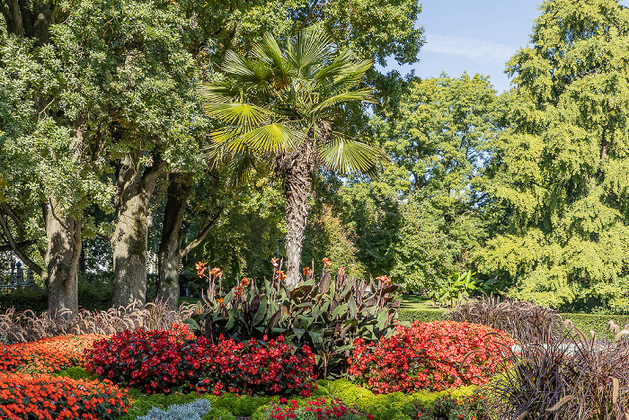 Stadtgarten Konstanz