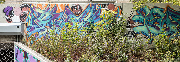 Werner-Lamberz-Straße: Street Art Bad Salzungen