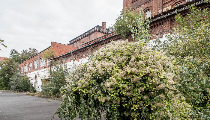 Braugold-Areal Erfurt