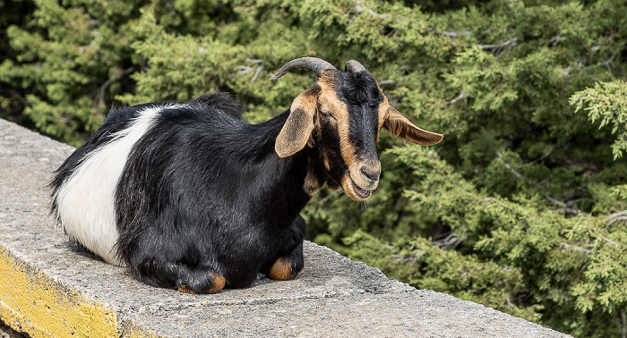 Café Panorama Provinz Sfakia