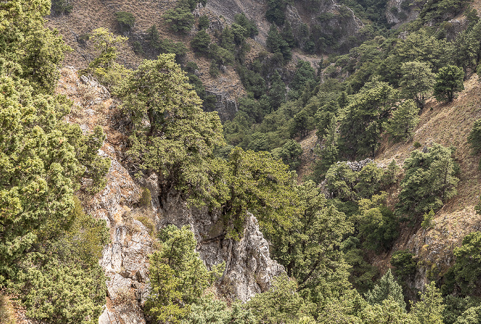 Blick vom Café Panorama: Imbros-Schlucht (Φαράγγι Ίμπρου) Provinz Sfakia